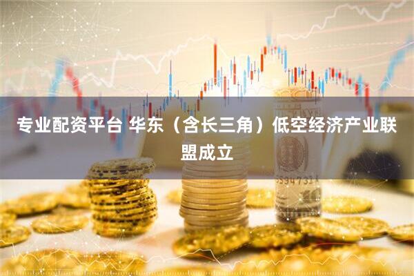 專業(yè)配資平臺(tái) 華東（含長(zhǎng)三角）低空經(jīng)濟(jì)產(chǎn)業(yè)聯(lián)盟成立
