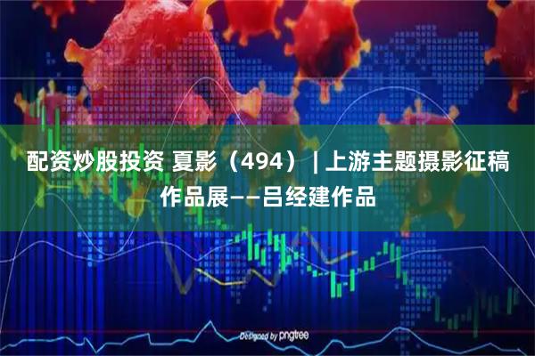 配資炒股投資 夏影（494） | 上游主題攝影征稿作品展——呂經建作品