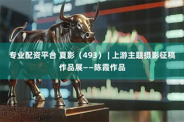 專業配資平臺 夏影（493） | 上游主題攝影征稿作品展——陳霞作品