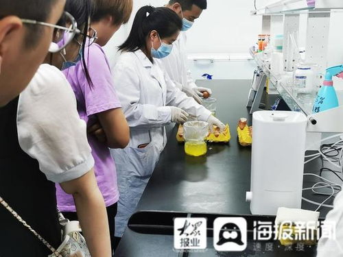 年產值達3.6億 山東聊城冠縣這家動物生物工程項目實現生產全線自動化
