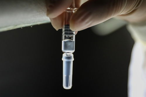 巴西研究機構 中國科興疫苗能有效抵抗兩種變異新冠病毒