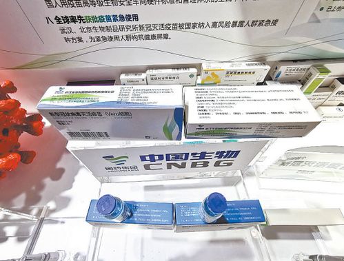 漢產新冠疫苗服貿會上預約接種 觀眾熱情掃碼擠崩預約系統