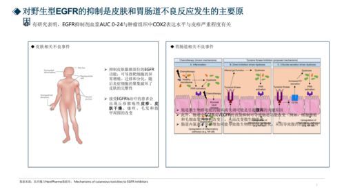 2021AACR新機會分析