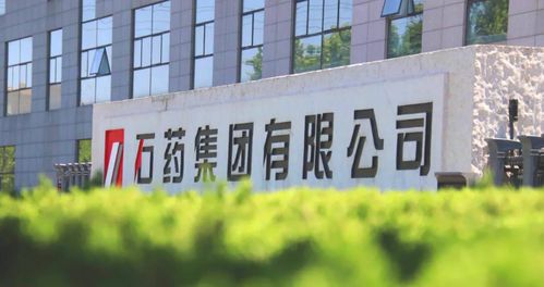 創新百強 綠色工廠 石藥兩子公司獲殊榮