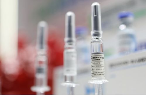 國際早報 中國疫苗獲世衛認證 泰國菠蘿工廠百人確診