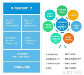 21家藥企搶灘科創板 復旦張江 特寶生物 各公司研發 微芯生物 688321 聊吧 贏家聊吧
