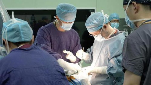 上海首例 國產腦機接口產品在華山醫院植入成功,癱瘓患者已能下床