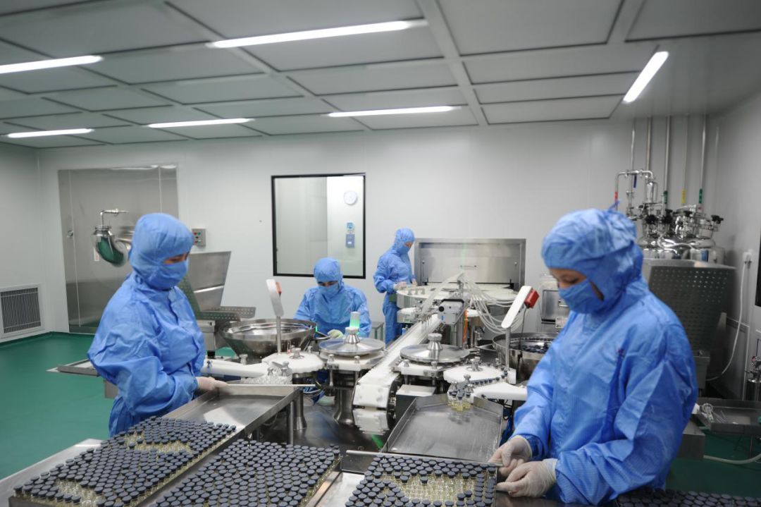 成于專注,功在專精--惠中生物新品豬圓支二聯滅活疫苗初創團隊8年研發與成果轉化之路
