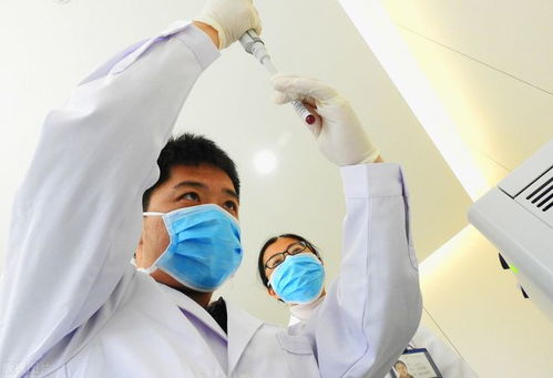 a股 醫藥細分領域 cro概念,這5家龍頭堪比茅臺 收藏待爆發