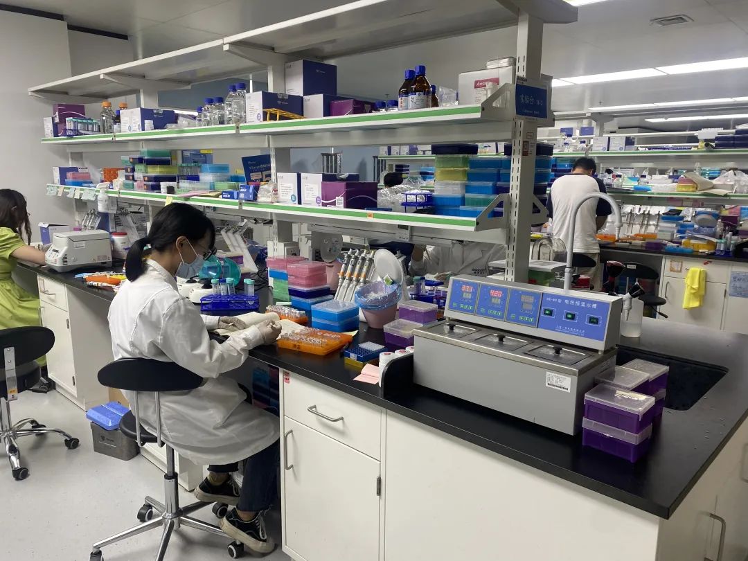 高產大豆長啥樣?自主研發培養新品種!實探重點龍頭企業舜豐生物