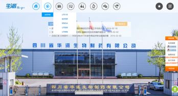 成都企業網站建設 明騰網絡