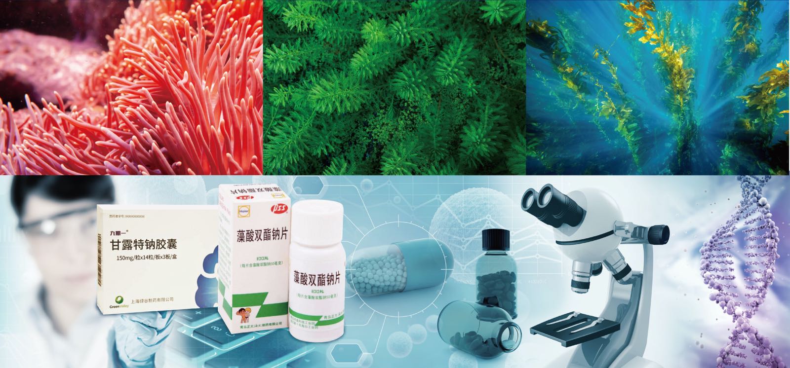 華大海洋樹立企業擔當大力促進海洋生物醫藥研發