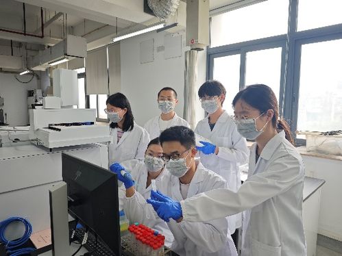 上海大學科研團隊研發出兩款高活性多肽基敷料 照亮糖尿病足護理之路