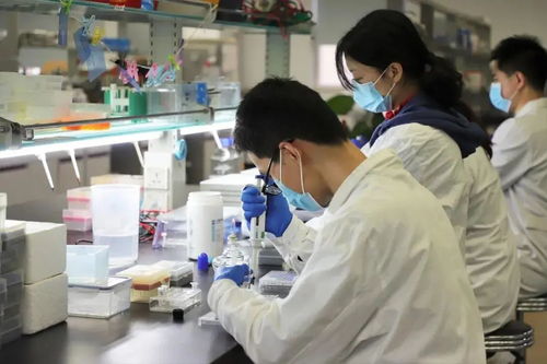 重慶218個藥品平均降價53 ,三甲醫院達到39家